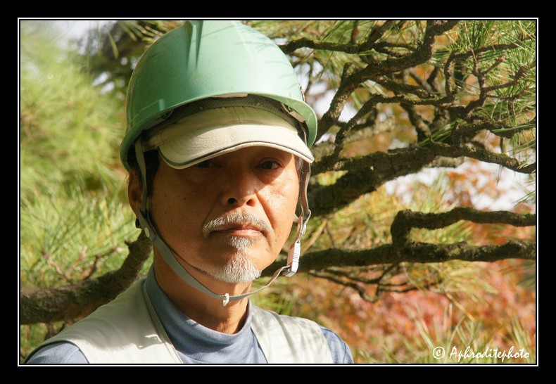 110 Japan portraits